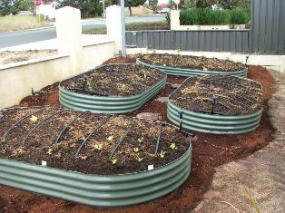 A brand new garden installed and planted