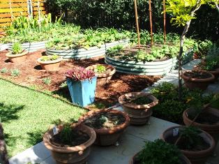 All you need right in your back yard