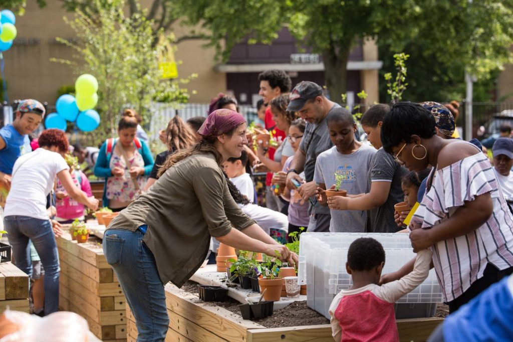 Events Your Patch Organic Gardening Perth